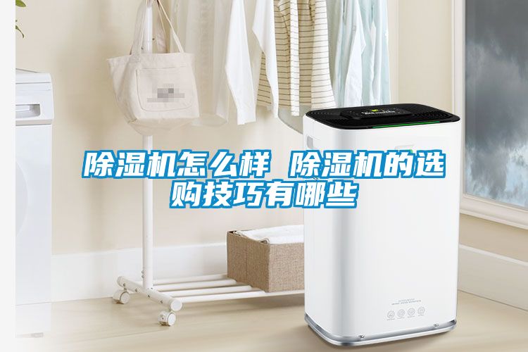 除濕機(jī)怎么樣 除濕機(jī)的選購(gòu)技巧有哪些