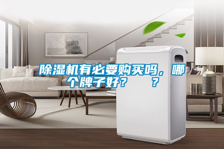 除濕機有必要購買嗎，哪個牌子好？  ？