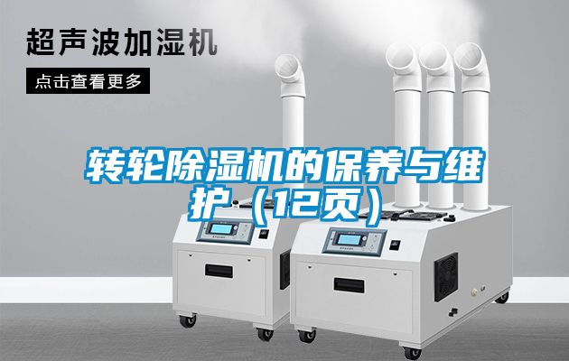 轉(zhuǎn)輪除濕機(jī)的保養(yǎng)與維護(hù)（12頁）