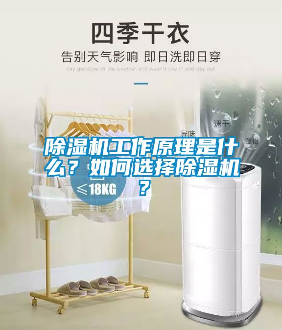 除濕機工作原理是什么？如何選擇除濕機？