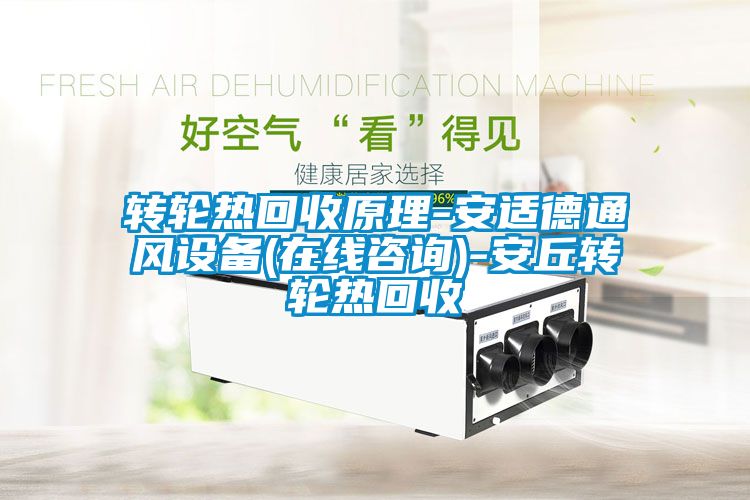 轉(zhuǎn)輪熱回收原理-安適德通風(fēng)設(shè)備(在線咨詢(xún))-安丘轉(zhuǎn)輪熱回收