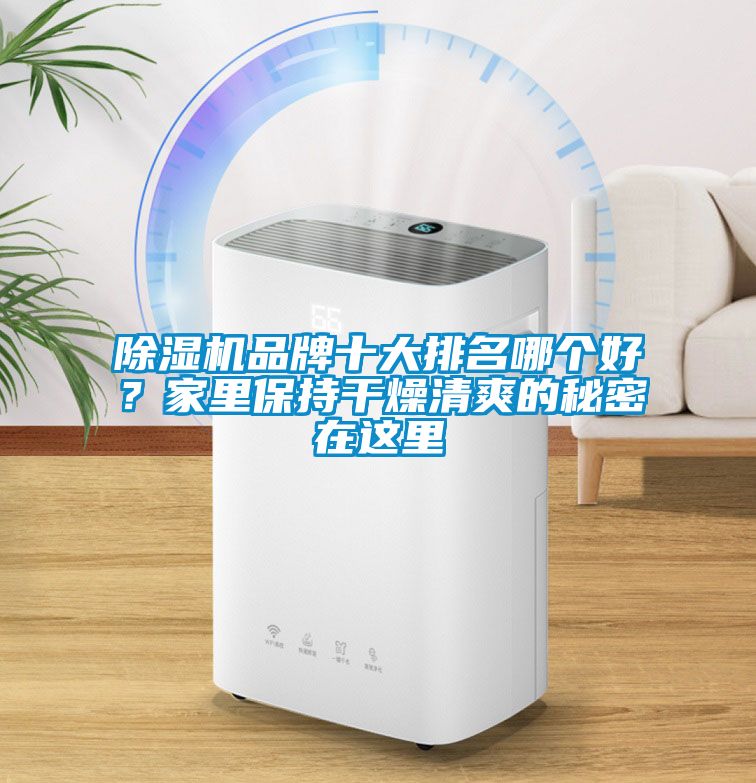除濕機品牌十大排名哪個好？家里保持干燥清爽的秘密在這里