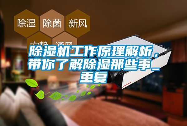 除濕機工作原理解析，帶你了解除濕那些事_重復
