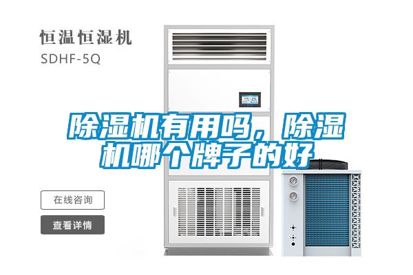 除濕機有用嗎，除濕機哪個牌子的好