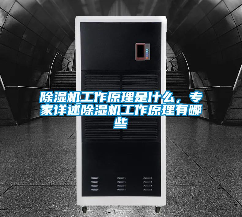 除濕機工作原理是什么，專家詳述除濕機工作原理有哪些