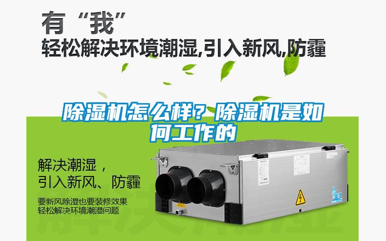 除濕機(jī)怎么樣？除濕機(jī)是如何工作的