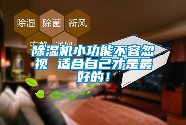 除濕機小功能不容忽視 適合自己才是最好的！