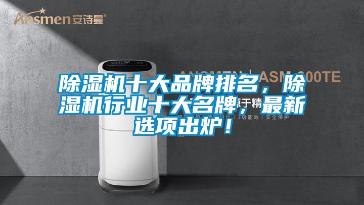 除濕機十大品牌排名，除濕機行業(yè)十大名牌，最新選項出爐！