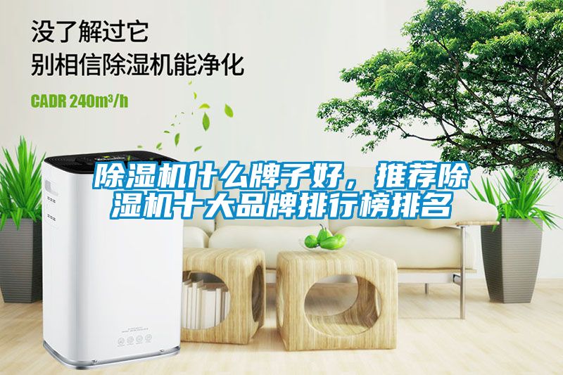 除濕機(jī)什么牌子好，推薦除濕機(jī)十大品牌排行榜排名