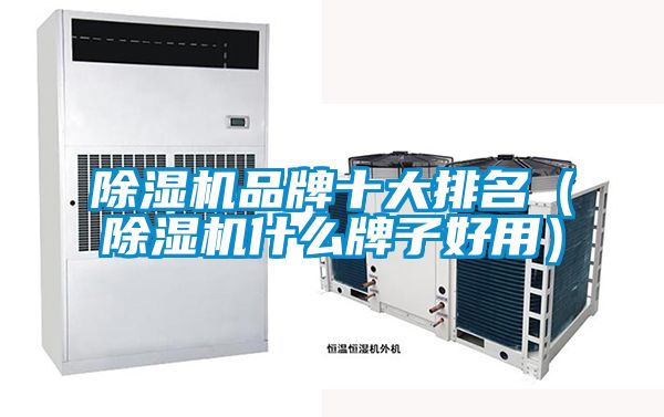 除濕機(jī)品牌十大排名(除濕機(jī)什么牌子好用)