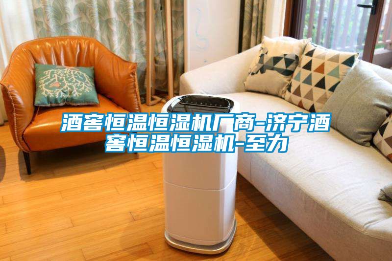 酒窖恒溫恒濕機廠商-濟(jì)寧酒窖恒溫恒濕機-至力