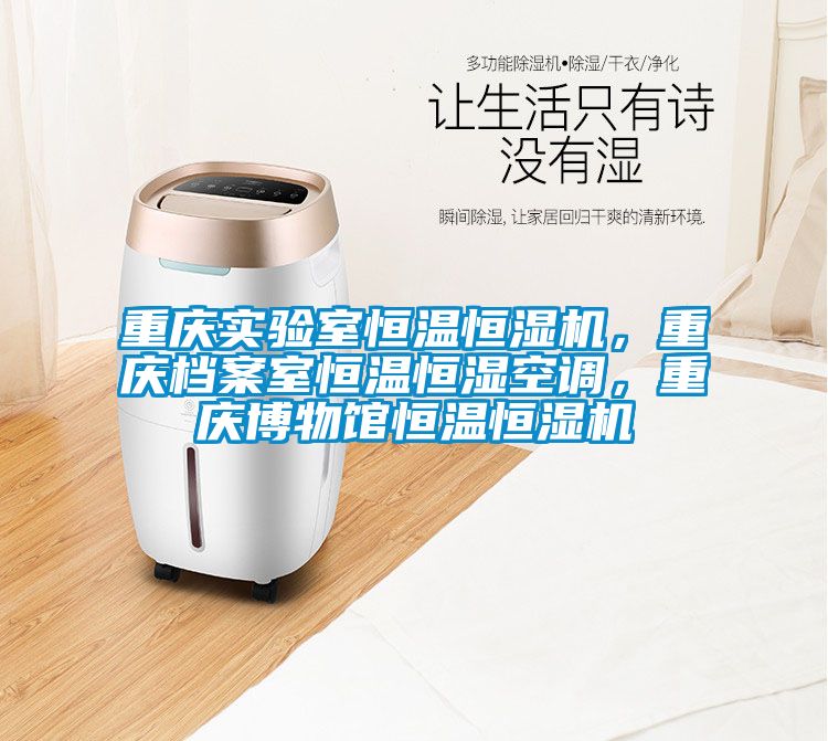 重慶實驗室恒溫恒濕機，重慶檔案室恒溫恒濕空調，重慶博物館恒溫恒濕機