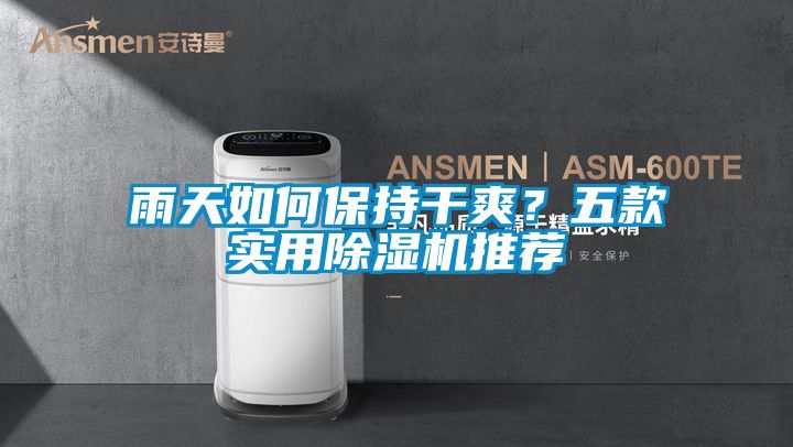 雨天如何保持干爽？五款實用除濕機(jī)推薦