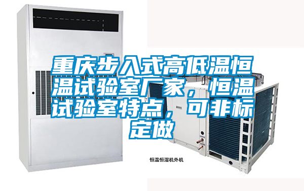 重慶步入式高低溫恒溫試驗室廠家，恒溫試驗室特點，可非標定做