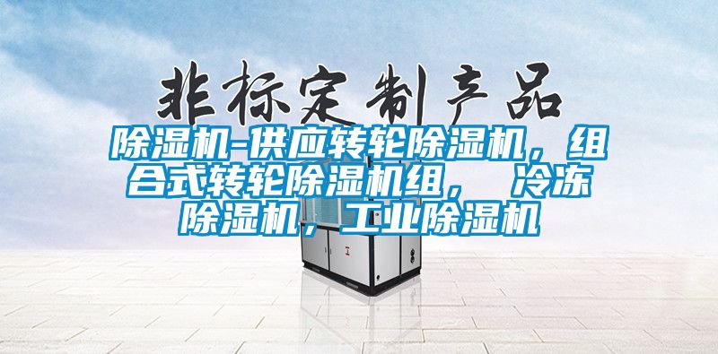 除濕機-供應轉(zhuǎn)輪除濕機，組合式轉(zhuǎn)輪除濕機組， 冷凍除濕機，工業(yè)除濕機