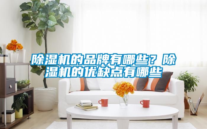 除濕機(jī)的品牌有哪些？除濕機(jī)的優(yōu)缺點(diǎn)有哪些