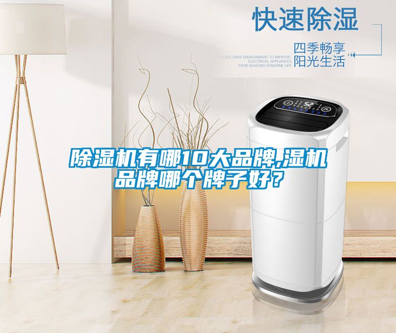除濕機有哪10大品牌,濕機品牌哪個牌子好？