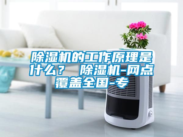 除濕機的工作原理是什么？ 除濕機-網點覆蓋全國-專