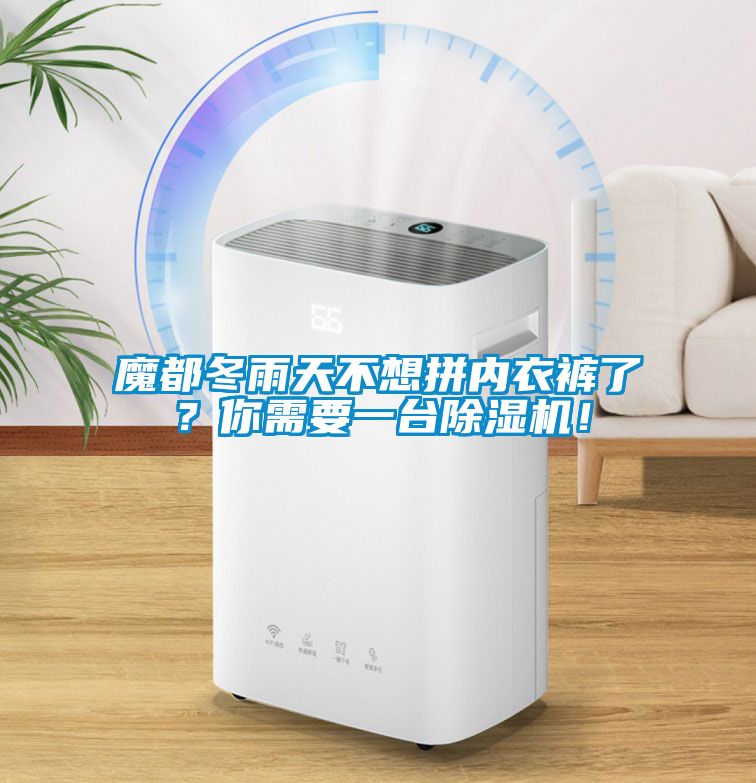 魔都冬雨天不想拼內(nèi)衣褲了？你需要一臺除濕機！