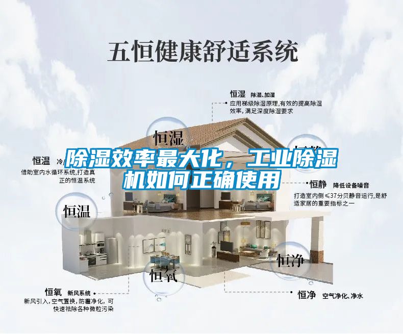 除濕效率最大化，工業除濕機如何正確使用