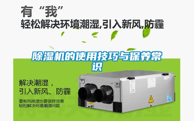 除濕機的使用技巧與保養常識