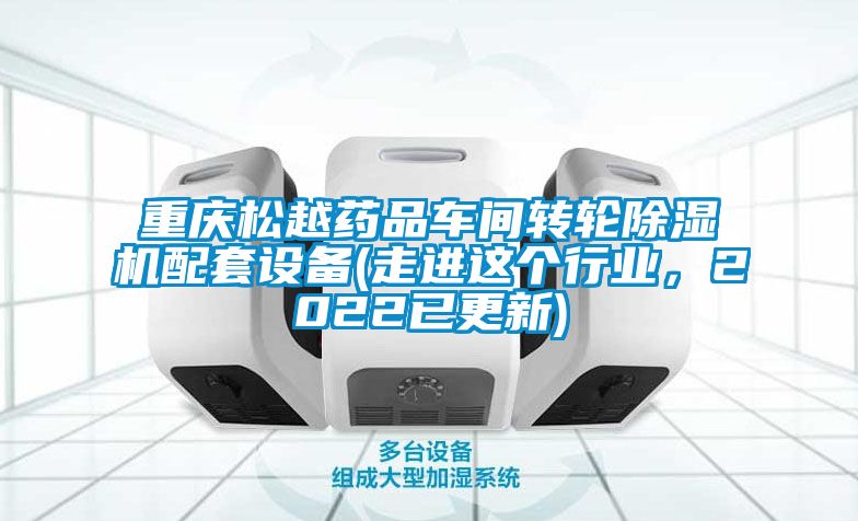 重慶松越藥品車間轉輪除濕機配套設備(走進這個行業(yè)，2022已更新)