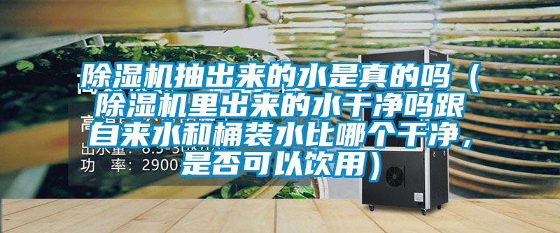 除濕機抽出來的水是真的嗎（除濕機里出來的水干凈嗎跟自來水和桶裝水比哪個干凈，是否可以飲用）