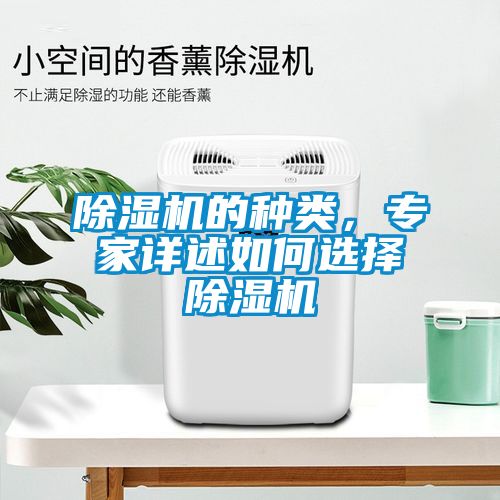 除濕機的種類，專家詳述如何選擇除濕機