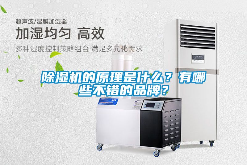 除濕機(jī)的原理是什么？有哪些不錯(cuò)的品牌？