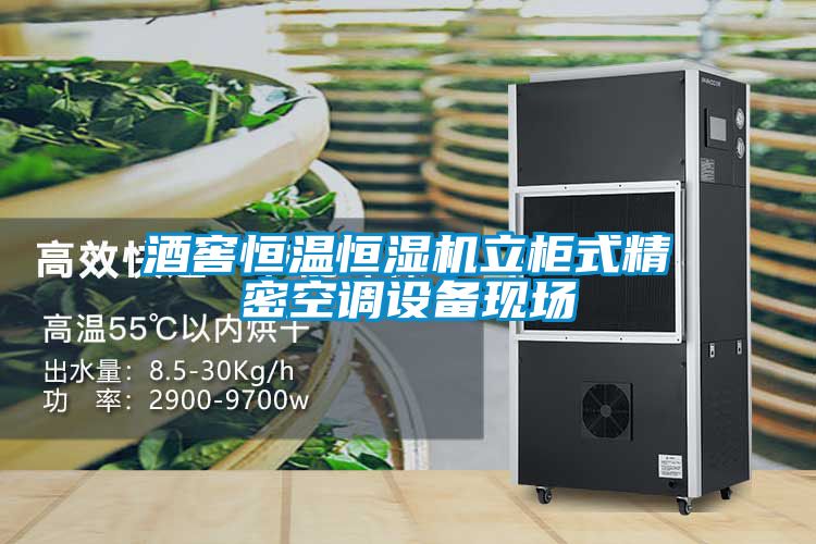 酒窖恒溫恒濕機立柜式精密空調(diào)設(shè)備現(xiàn)場