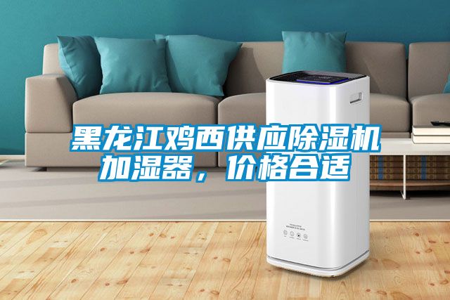 黑龍江雞西供應(yīng)除濕機加濕器，價格合適