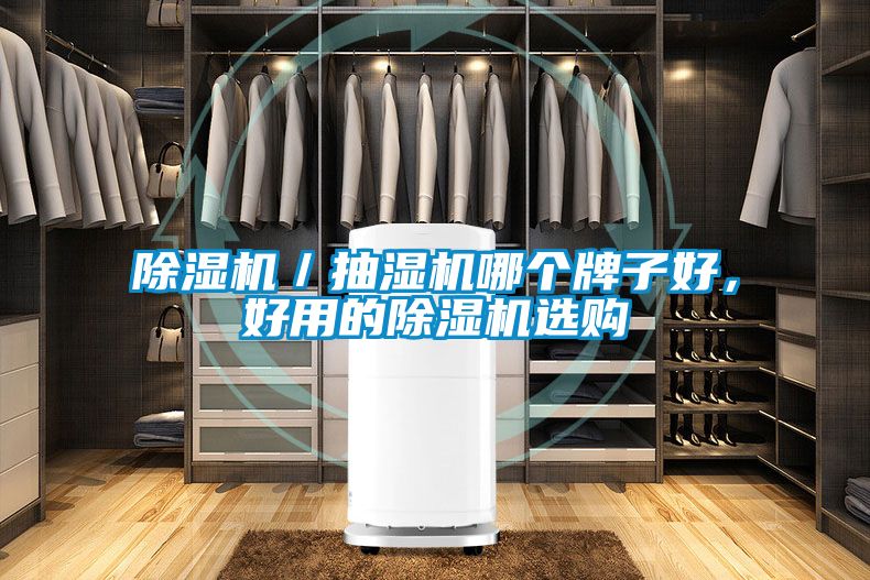 除濕機(jī)／抽濕機(jī)哪個牌子好，好用的除濕機(jī)選購