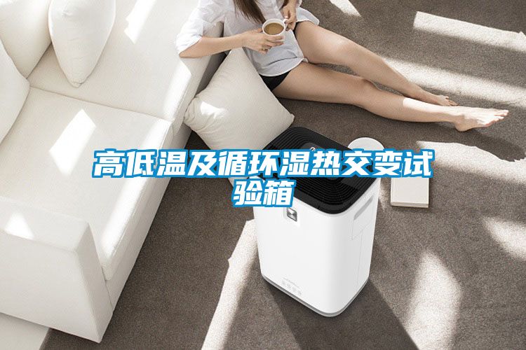 高低溫及循環(huán)濕熱交變?cè)囼?yàn)箱
