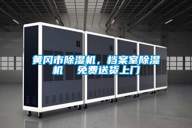 黃岡市除濕機，檔案室除濕機  免費送貨上門